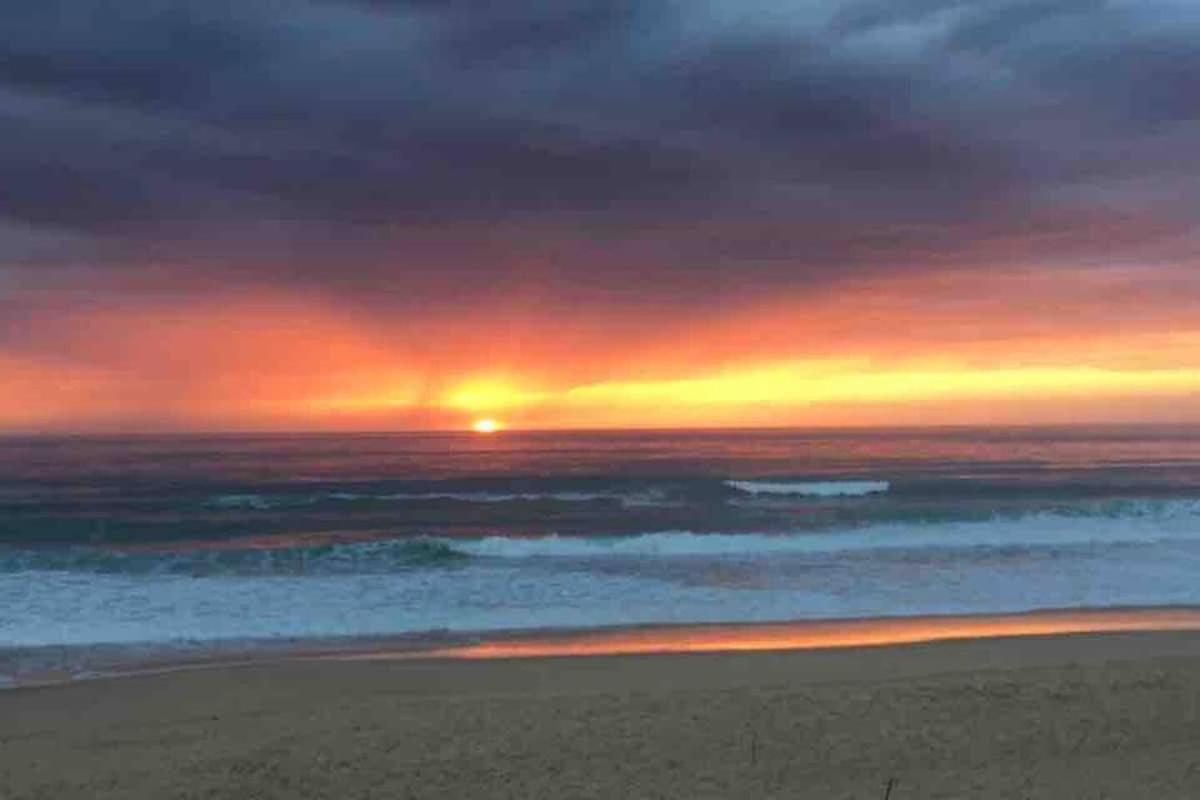 La Graviere, Cozy Studio Wifi & Parking 20M Ocean Surf Plage Soorts-Hossegor Exterior foto